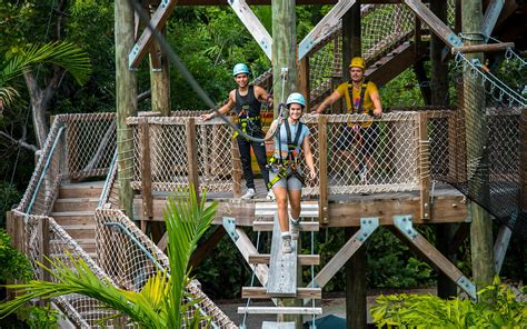 Treetop trekking miami - Treetop Trekking Miami se encuentra en Jungle Island, y su equipo le invita a descubrir Jungle Island antes o después de su aventura de Treetop Trekking. Puede reservar un encuentro privado con animales o explorar el recinto por su cuenta con una entrada de jardín. 